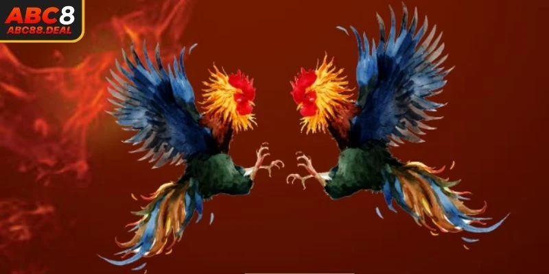 Hiểu rõ sơ lược thông tin về đá gà trực tiếp