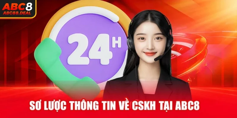 Sơ lược về đội ngũ CSKH ABC8